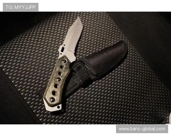 星空平台入口的注册流程与注意事项解析